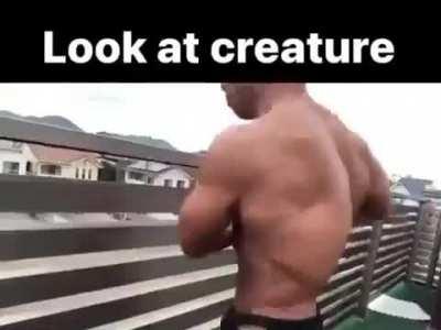 Look at it (Heil Spez)