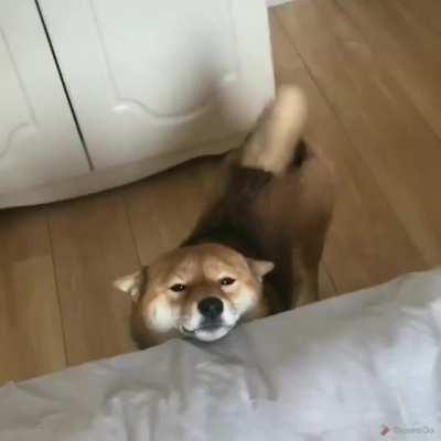 Gooooood morning fren!