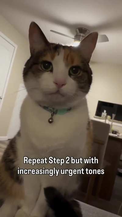 The stare downs will never not be crazy 😅