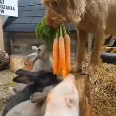 Just like we practiced