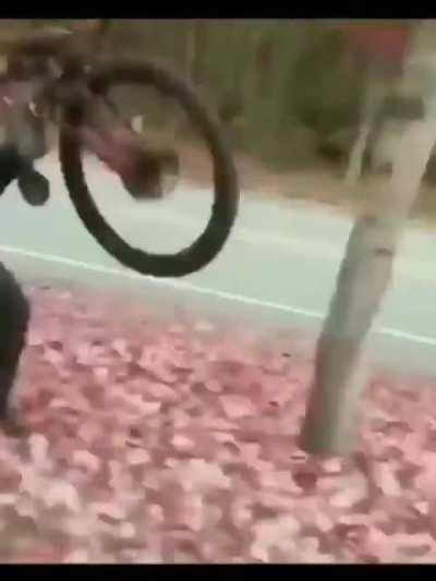 losercity friday night