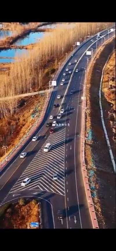 What the hell is going on here?