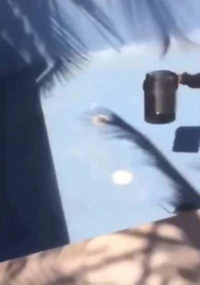 F*ck You. Atentamente: 𝓡𝓪𝓽𝓪