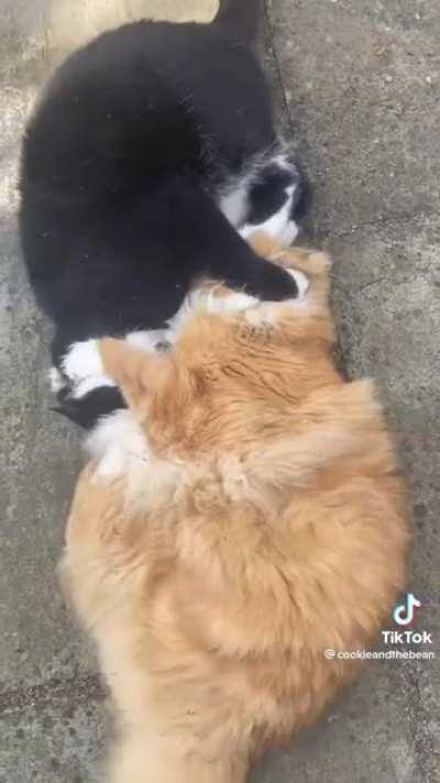 Mutually assured destruction.