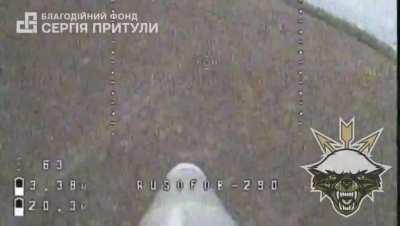 Cука Dive Bombers