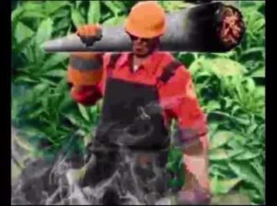 I think we are forgetting something important.