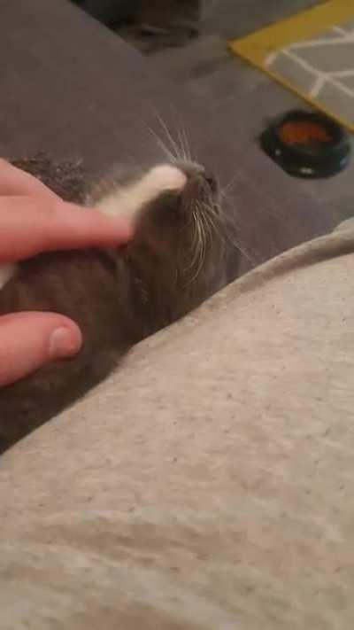 Newest member of the family. Little Ada.