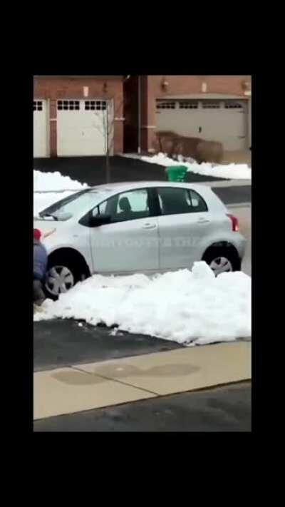 (Full Video) Man attempts to steal a package, has his getaway car stuck in the snow and then gets arrested.