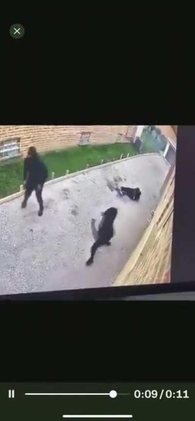 Via spot news on twitter. This is insane