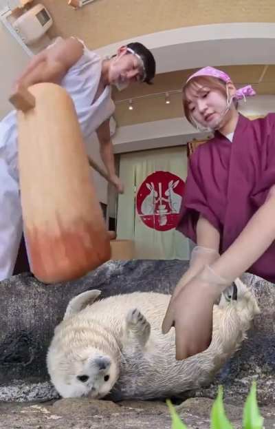 he will soon become mochi