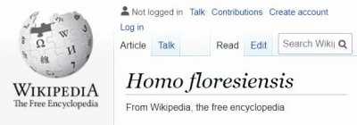 Wikipedia at 500px wide