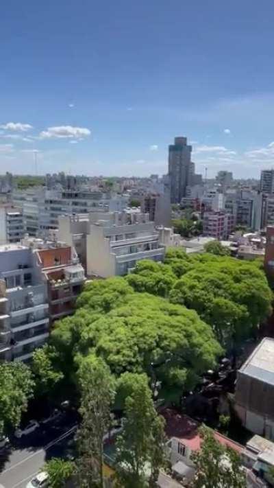 Buenes Aires city loses its collective mind after Argentina wins the world cup