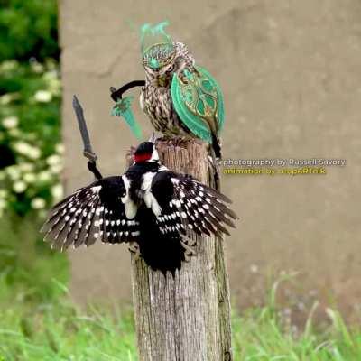 😬 INTIMIDATOR 😬