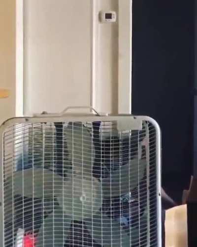 Russian Roulette: From Thug to Cowering Pussy in 3... 2... 1