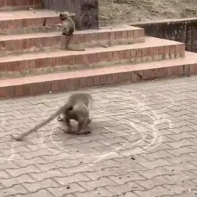 Явно что–то знает