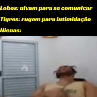 Sempre as diferentona