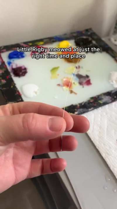 Rigby has been added to The Sillies! :3