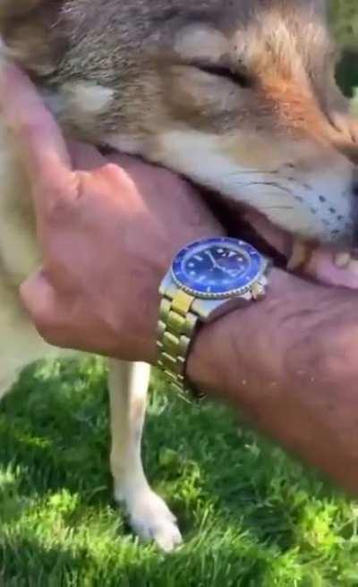 Teaching some respect