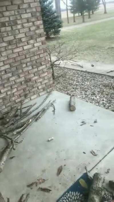 When your dog gets promoted to Branch Manager.