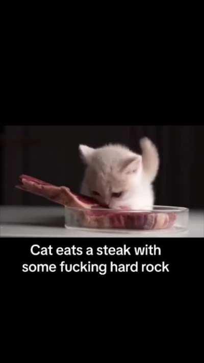 No se por que lo vi completo :v