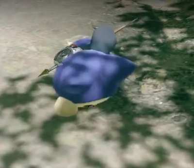 Meowster, I tripped :(