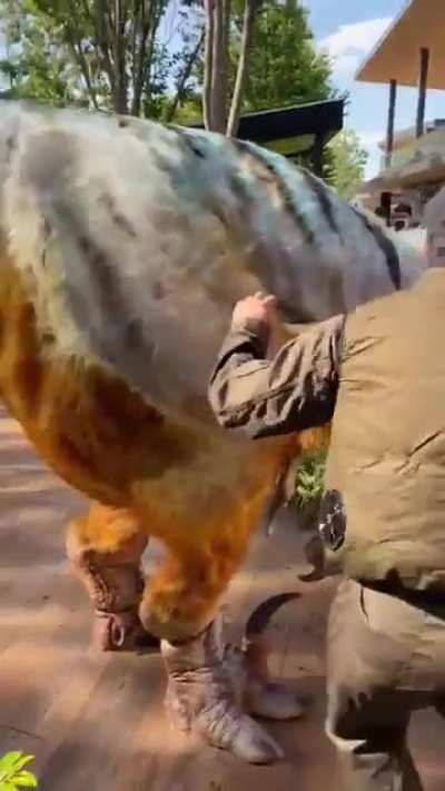 Utahraptor in Tachikawa | @MameshanMi on Twitter