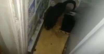 Прорыв демонов