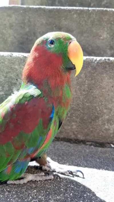 If you're having a bad day 