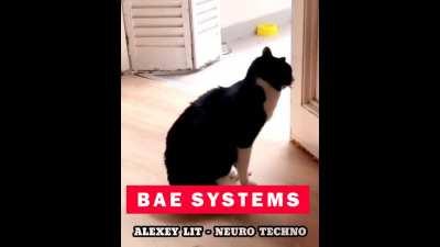 Party in the Pacific