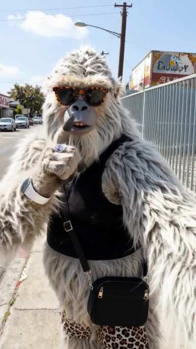 Z-Image with Wan 2.2 Animate is my wet dream