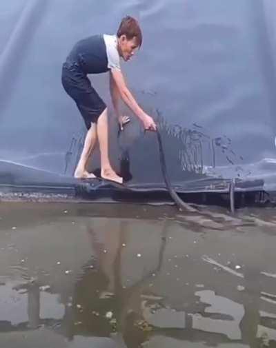 It's just a small snake