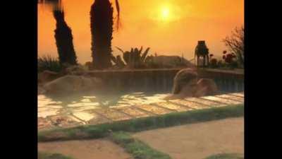 Reasonable Doubt (2001) - Amber Smith & GiGi Erneta