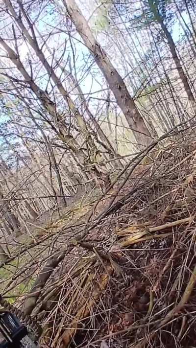 If turkey hunting with a bow was easy everyone would do it