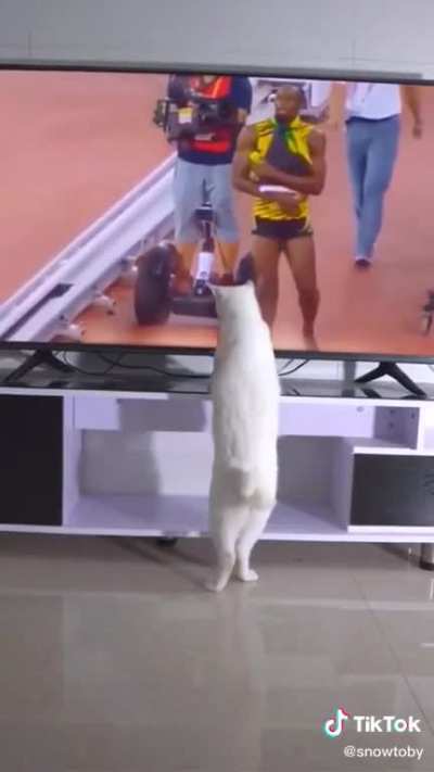 Watch Kitty Magician!