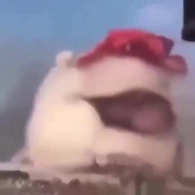 this is terrifying tbh