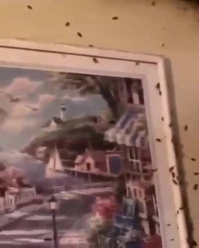 This is what happens if you neckbeards don’t use cleaning supplies