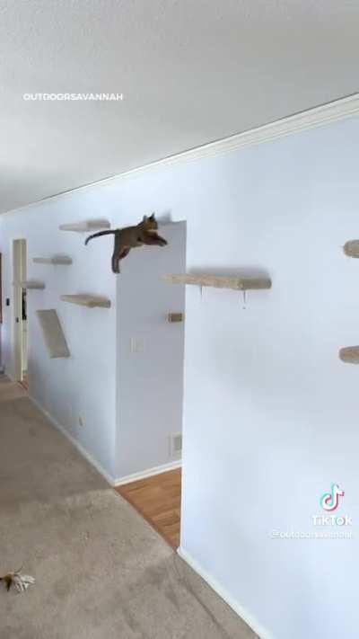 Wall furniture