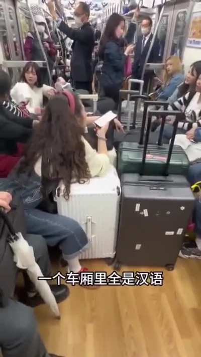 洼地核心礼仪实用教程：地铁篇