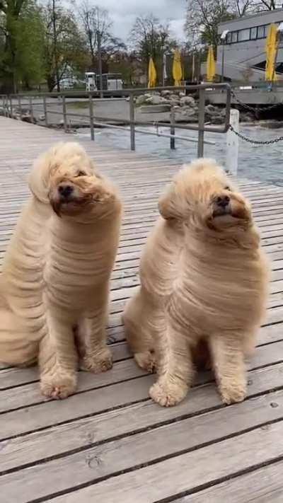 It’s a little windy outside