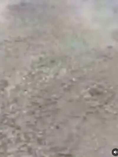 Awww man crushed er good ay