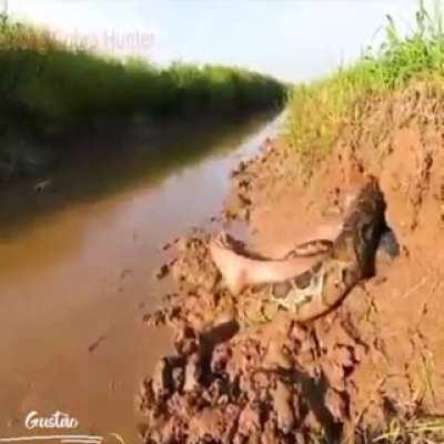 A normal day on Brazil