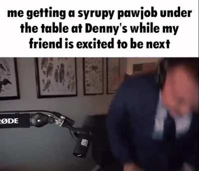 im sorry (inspired by another post)