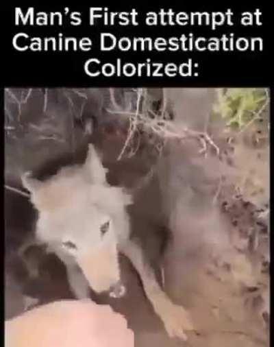 The first beastamer be like