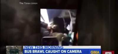 3 black chicks beat up white dude on bus