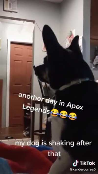 Dog is scared of revenant