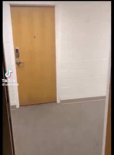 Bady duck, the chasing menace Code name: Step off