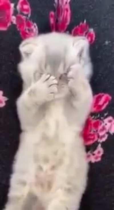 Isn't she lovely💞