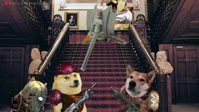 I Own a Laslock for Home Defense