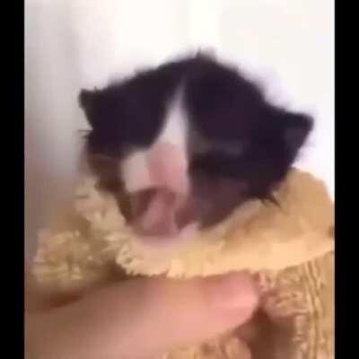 GIANT African Cockroach do the floss on AMONG US CHINESE VERSION! CLICK HERE TO WATCH!! 😱😱😱