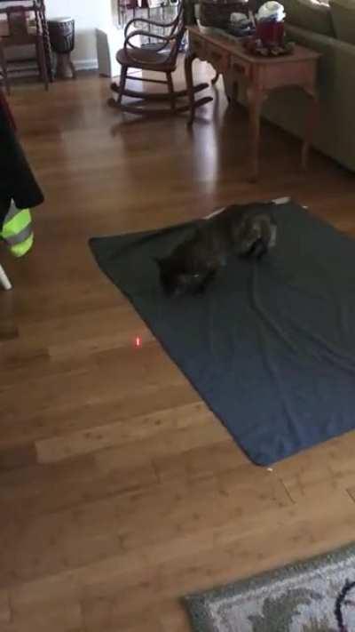 Laser vision